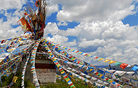 Пять тибетцев», или «Око возрождения» - Активный возраст